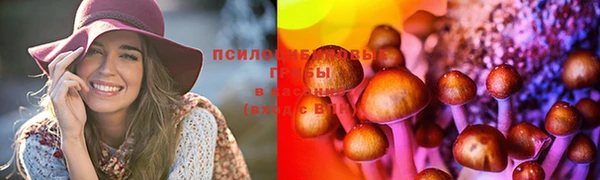 jwh Тайга