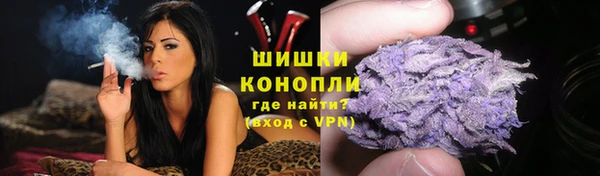 jwh Тайга