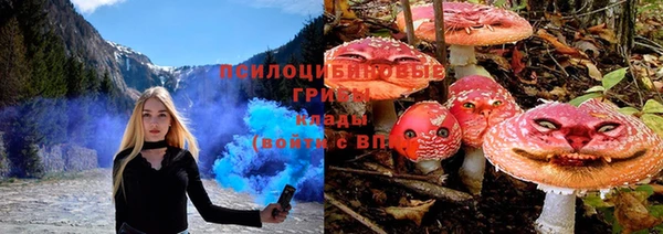 тгк Сясьстрой