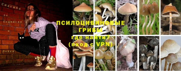 тгк Сясьстрой