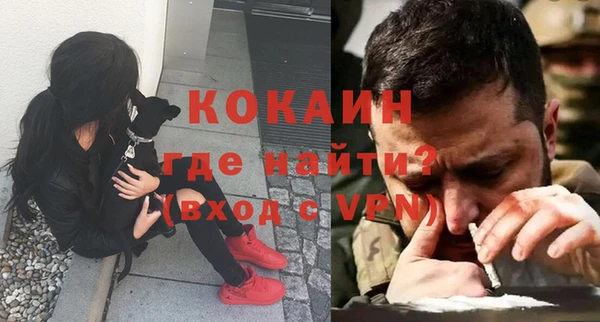 jwh Тайга