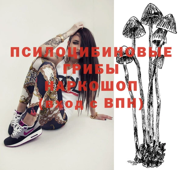 тгк Сясьстрой