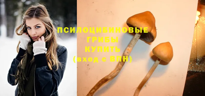 Псилоцибиновые грибы Magic Shrooms Тюмень