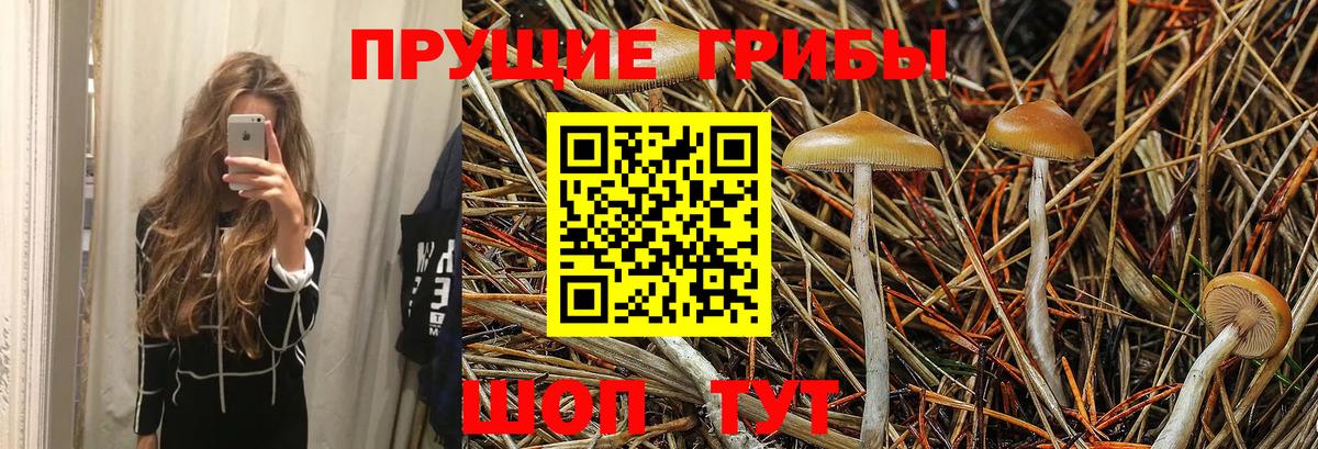 Псилоцибиновые грибы прущие грибы  Вход с VPN  Тюмень 
